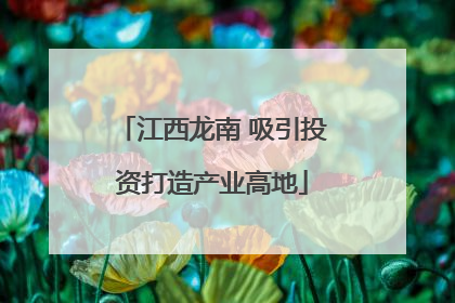 江西龙南 吸引投资打造产业高地