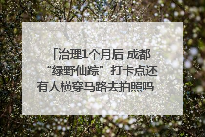 治理1个月后 成都“绿野仙踪”打卡点还有人横穿马路去拍照吗？｜民情瞭望