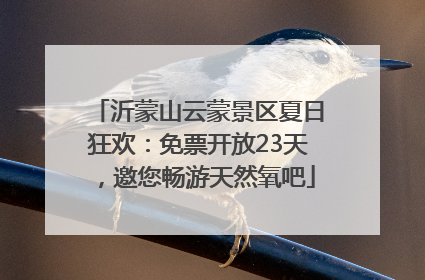 沂蒙山云蒙景区夏日狂欢：免票开放23天，邀您畅游天然氧吧
