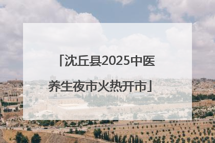 沈丘县2025中医养生夜市火热开市