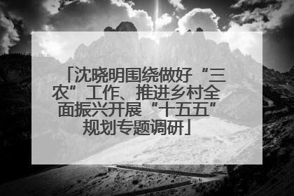 沈晓明围绕做好“三农”工作、推进乡村全面振兴开展“十五五”规划专题调研