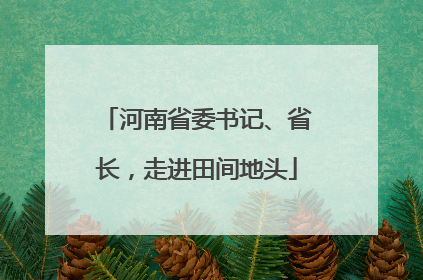 河南省委书记、省长，走进田间地头