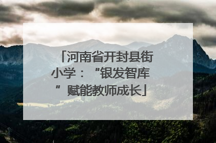河南省开封县街小学：“银发智库”赋能教师成长