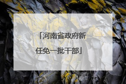 河南省政府新任免一批干部