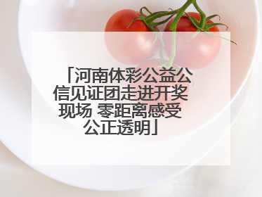 河南体彩公益公信见证团走进开奖现场 零距离感受公正透明