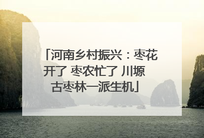 河南乡村振兴：枣花开了 枣农忙了 川塬古枣林一派生机