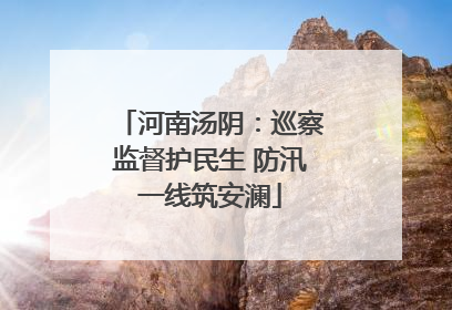 河南汤阴：巡察监督护民生 防汛一线筑安澜