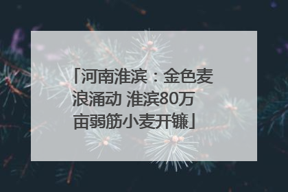 河南淮滨：金色麦浪涌动 淮滨80万亩弱筋小麦开镰