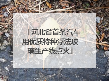 河北省首条汽车用优质特种浮法玻璃生产线点火