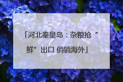 河北秦皇岛：杂粮抢“鲜”出口 俏销海外
