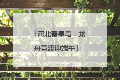 河北秦皇岛：龙舟竞渡迎端午