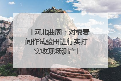河北曲周：对棉麦间作试验田进行实打实收现场测产