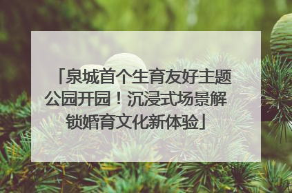 泉城首个生育友好主题公园开园！沉浸式场景解锁婚育文化新体验