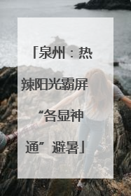 泉州：热辣阳光霸屏 “各显神通”避暑