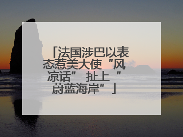 法国涉巴以表态惹美大使“风凉话” 扯上“蔚蓝海岸”