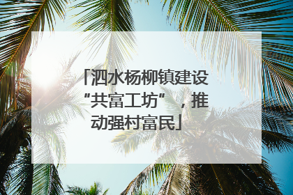 泗水杨柳镇建设“共富工坊”，推动强村富民