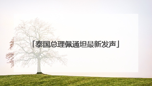 泰国总理佩通坦最新发声