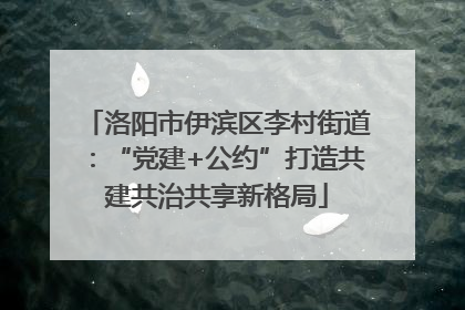 洛阳市伊滨区李村街道：“党建+公约”打造共建共治共享新格局