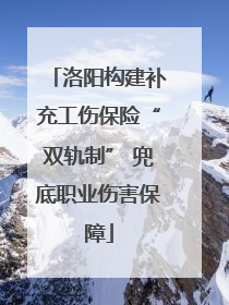 洛阳构建补充工伤保险“双轨制” 兜底职业伤害保障