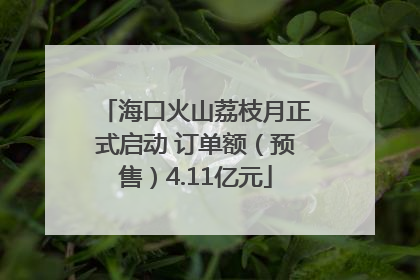 海口火山荔枝月正式启动 订单额（预售）4.11亿元