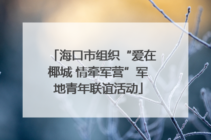 海口市组织“爱在椰城 情牵军营”军地青年联谊活动