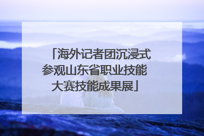 海外记者团沉浸式参观山东省职业技能大赛技能成果展