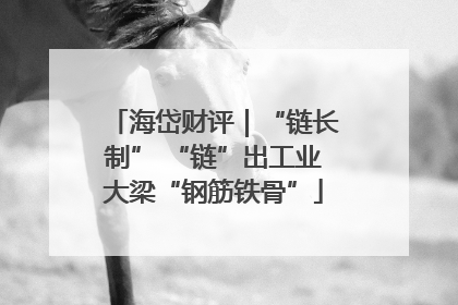 海岱财评｜“链长制” “链”出工业大梁“钢筋铁骨”