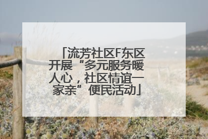 流芳社区F东区开展“多元服务暖人心，社区情谊一家亲”便民活动