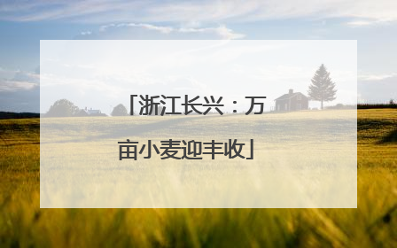 浙江长兴：万亩小麦迎丰收