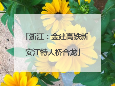 浙江：金建高铁新安江特大桥合龙