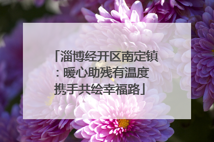 淄博经开区南定镇：暖心助残有温度 携手共绘幸福路