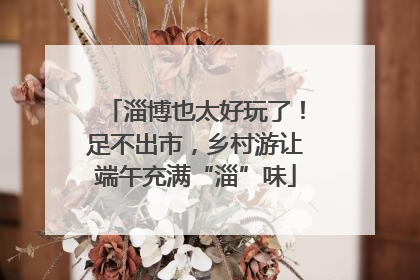 淄博也太好玩了！足不出市，乡村游让端午充满“淄”味