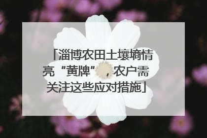 淄博农田土壤墒情亮“黄牌”，农户需关注这些应对措施