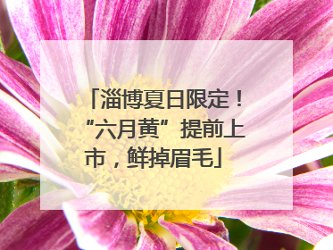 淄博夏日限定！“六月黄”提前上市，鲜掉眉毛