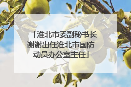 淮北市委副秘书长谢谢出任淮北市国防动员办公室主任