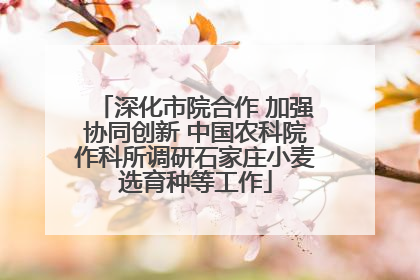 深化市院合作 加强协同创新 中国农科院作科所调研石家庄小麦选育种等工作