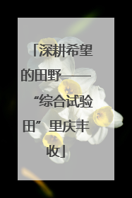 深耕希望的田野——“综合试验田”里庆丰收