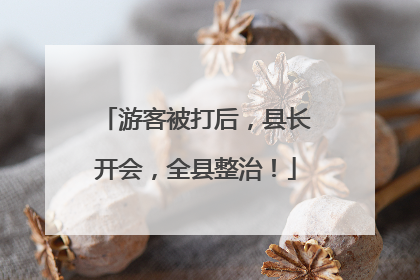 游客被打后，县长开会，全县整治！