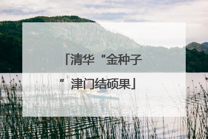清华“金种子”津门结硕果