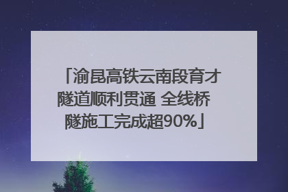 渝昆高铁云南段育才隧道顺利贯通 全线桥隧施工完成超90%