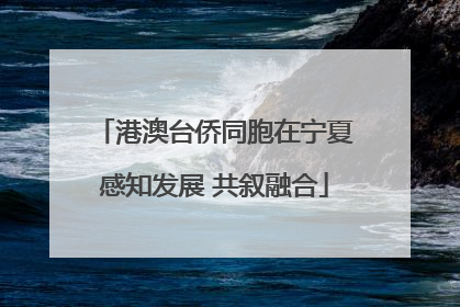 港澳台侨同胞在宁夏感知发展 共叙融合