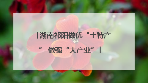 湖南祁阳做优“土特产” 做强“大产业”