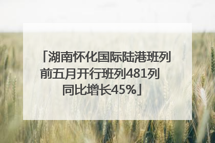 湖南怀化国际陆港班列前五月开行班列481列 同比增长45%
