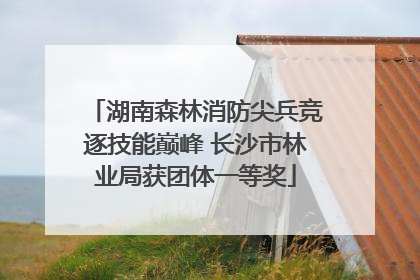 湖南森林消防尖兵竞逐技能巅峰 长沙市林业局获团体一等奖