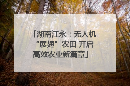 湖南江永：无人机“展翅”农田 开启高效农业新篇章