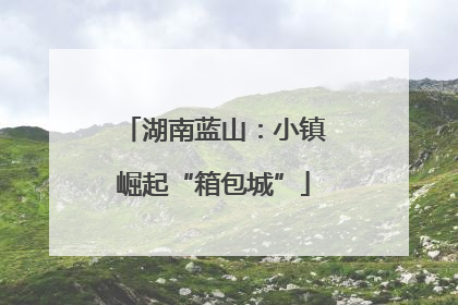 湖南蓝山：小镇崛起“箱包城”