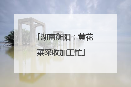湖南衡阳：黄花菜采收加工忙