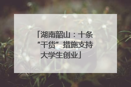 湖南韶山：十条“干货”措施支持大学生创业