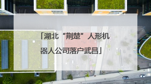 湖北“荆楚”人形机器人公司落户武昌