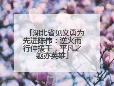 湖北省见义勇为先进陈伟：逆火而行伸援手，平凡之躯亦英雄